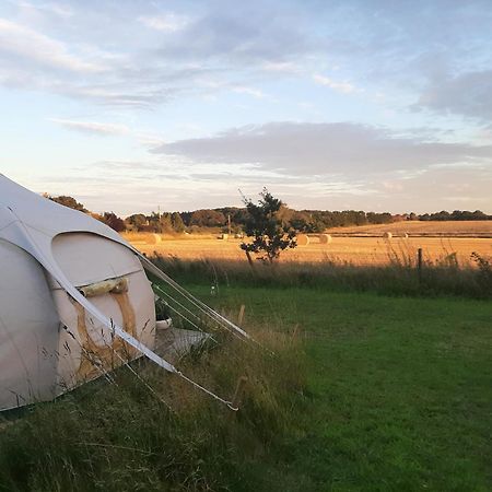 Wild Retreat 호텔 Cawston 외부 사진